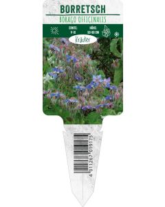 Borago officinalis, Bildstecketikett VS