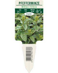 Mentha x piperita, Bildstecketikett VS