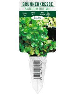 Nasturtium officinale, Bildstecketikett VS