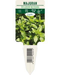Origanum majorana, Bildstecketikett VS