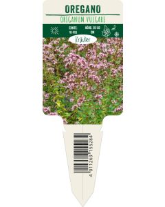 Origanum vulgare, Bildstecketikett VS