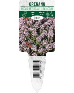 Origanum vulgare 'Compactum', Bildstecketikett VS