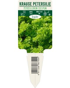 Petroselinum crispum, Bildstecketikett VS