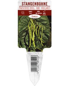 Phaseolus vulg. var. vulgaris, Bildstecketikett VS