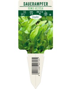 Rumex acetosa, Bildstecketikett VS