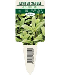 Salvia officinalis, Bildstecketikett VS