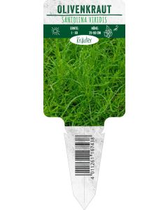 Santolina viridis, Bildstecketikett VS