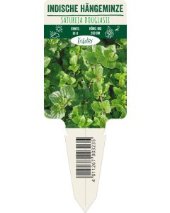 Satureja douglasii, Bildstecketikett VS