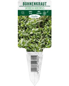 Satureja hortensis, Bildstecketikett VS