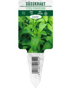 Stevia rebaudiana, Bildstecketikett VS