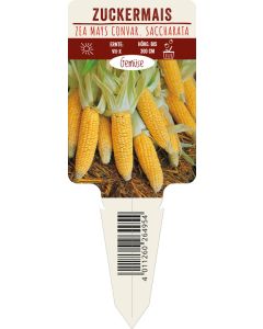 Zea mays convar. saccharata, Bildstecketikett VS