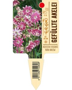 Aquilegia Vulg.-Hybr. 'Nora Barlow', Bildstecketikett VS:
