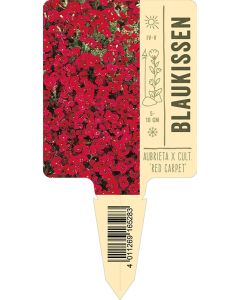 Bildstecketikett, Aubrieta x cultorum 'Red Carpet' VS: