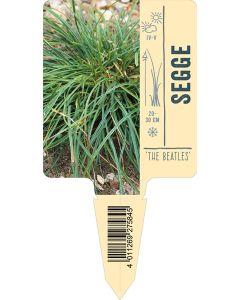 Bildstecketikett, Carex caryophyllea 'The Beatles' VS: