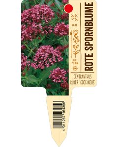 Centranthusruber, Bildstecketikett VS: