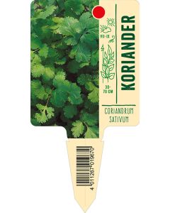 Coriandrumsativum, Bildstecketikett VS: