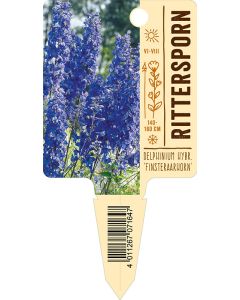 Delphinium Elatum 'Finsteraarhorn' , Bildstecketikett VS: