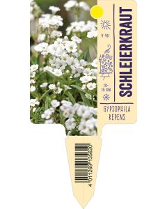 Gypsophilarepens, Bildstecketikett VS: