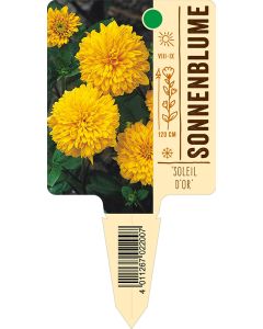 'Soleild'Or', Bildstecketikett VS: