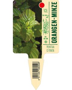 Menthacitrata, Bildstecketikett VS: