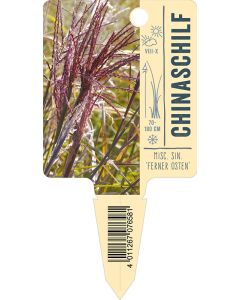 Misc. sin. 'Ferner Osten', Bildstecketikett VS: