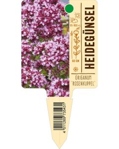 Origanum'Rosenkuppel', Bildstecketikett VS: