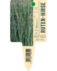 Panicum virgatum, Bildstecketikett VS: