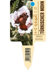 Papaverorientale, Bildstecketikett VS: