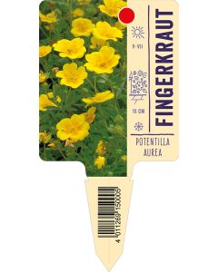 Potentillaaurea, Bildstecketikett VS: