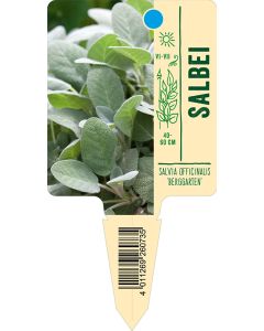 Salvia officinalis 'Berggarten', Bildstecketikett VS: