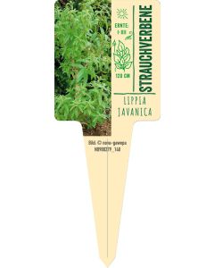 Lippia javanica, Bildstecketikett VS: