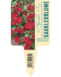 Mimulus cupreus 'Roter Kaiser', Bildstecketikett VS