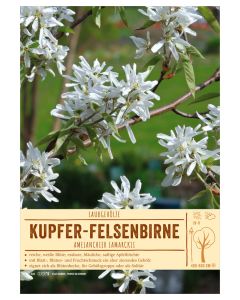 Sortenschild, Amelanchier lamarckii