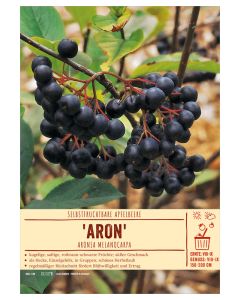 Sortenschild, Aronia melanocarpa 'Aron'