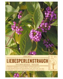 Sortenschild, Callicarpa bodinieri 'Profusion'