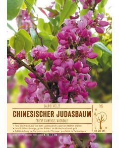 Sortenschild, Cercis chinensis 'Avondale'