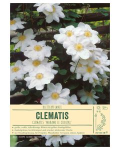Sortenschild, Clematis-Hybr. 'Madame Le Coultre'