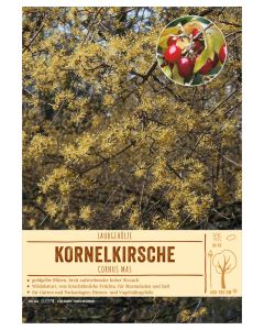 Sortenschild, Cornus mas