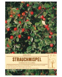 Sortenschild, Cotoneaster dielsianus