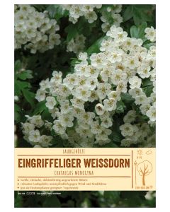 Sortenschild, Crataegus monogyna