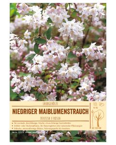 Sortenschild, Deutzia x rosea