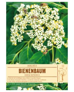 Sortenschild Euodia hupehensis