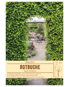 Sortenschild, Fagus sylvatica