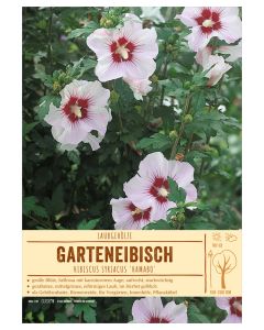 Sortenschild, Hibiscus syriacus 'Hamabo'
