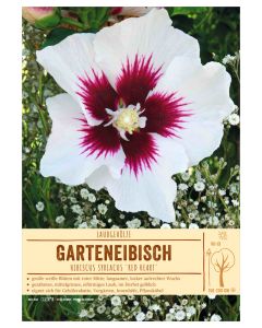 Sortenschild, Hibiscus syriacus 'Red Heart'