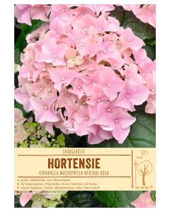 Sortenschild, Hydrangea macrophylla
