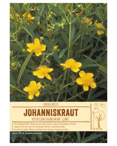 Sortenschild, Hypericum kalmianum 'Gemo'