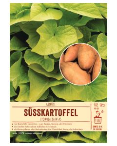 Sortenschild, Ipomoea batatas