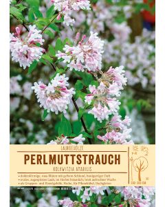 Sortenschild, Kolkwitzia amabilis