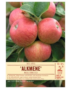 Sortenschild, Malus domestica 'Alkmene'